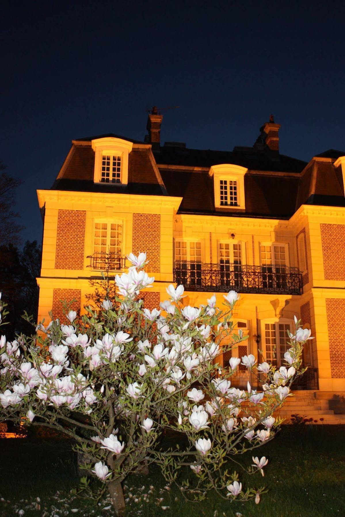 Chateau D'Avesnes - Le Castelet Экстерьер фото
